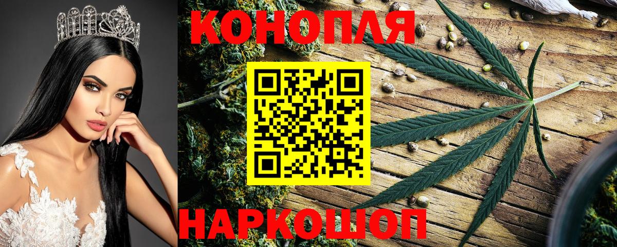 Бошки марихуана White Widow Черкесск